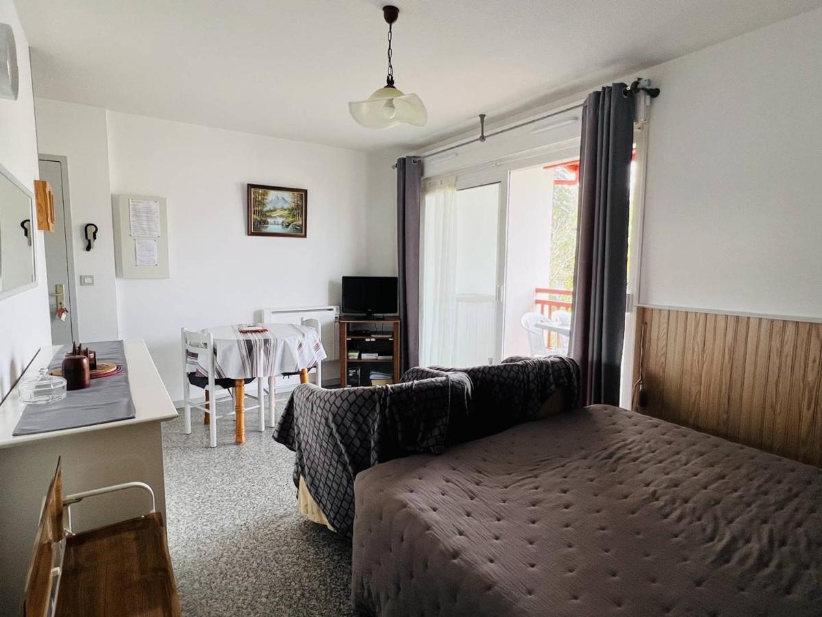 Appartement T1 Lumineux Avec Balcon Ensoleille Et Parking, 2 Couchages, Cambo-Les-Bains - Fr-1-495-16 外观 照片